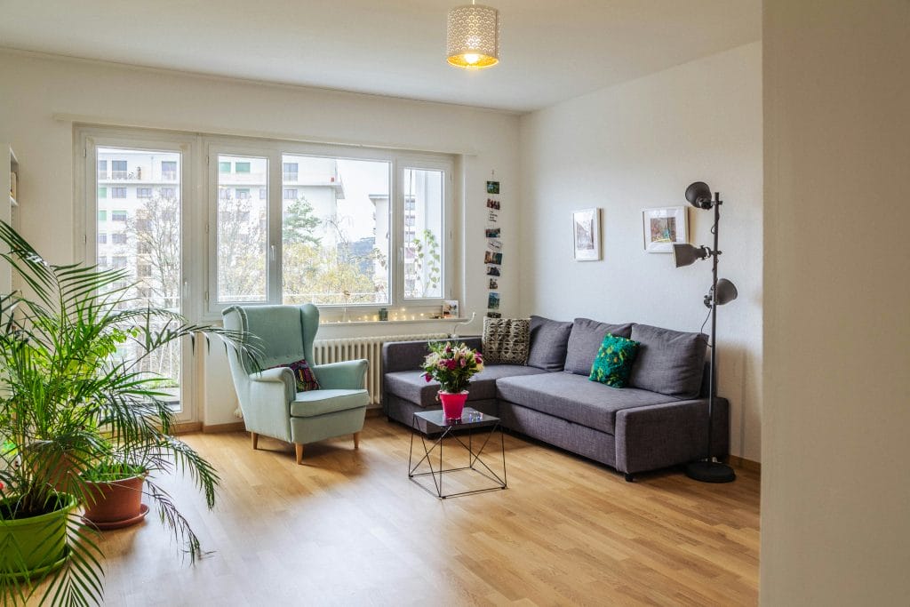 salon organisée avec des couleurs chaudes et un sol rénové