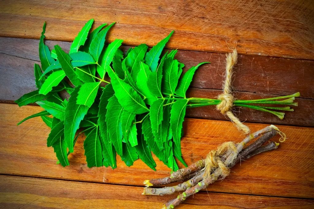 Le neem