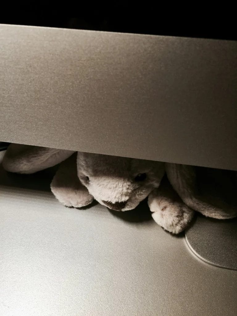 Peluche sous le lit 