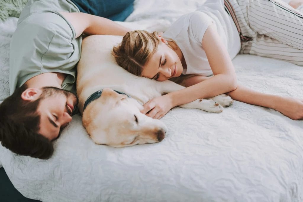 Couple dormant avec leur chien dans leur lit