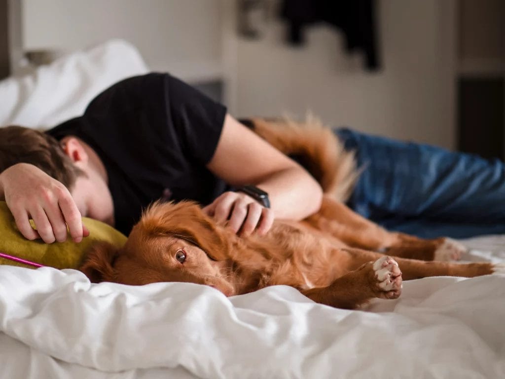Homme dormant avec son chien dans son lit